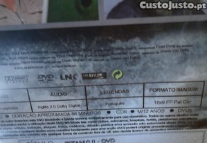 imagem_11