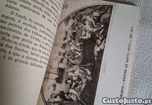 imagem_7