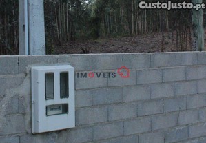 imagem_14