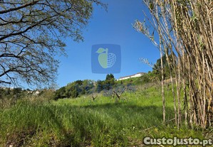 imagem_26