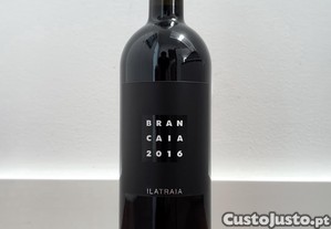 2016 - Brancaia Ilatraia - It�lia, Toscana