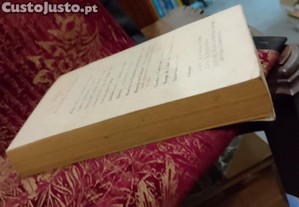imagem_7
