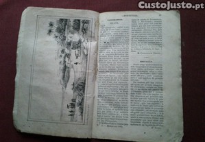 imagem_1