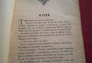 imagem_2
