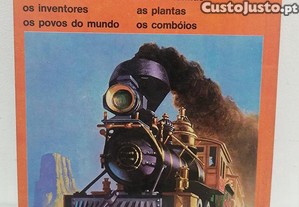imagem_4