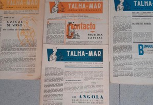 imagem_5