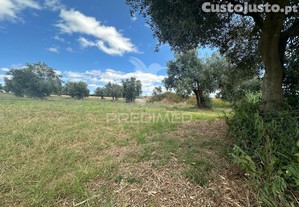 Lote rústico