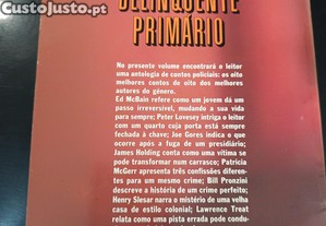 imagem_8