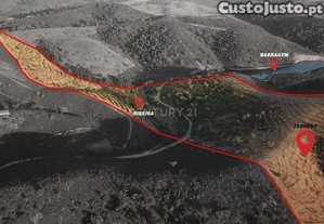 Terreno Agrcola com 8 Hectares   Produo, gua e Natureza em Santana da Serra
