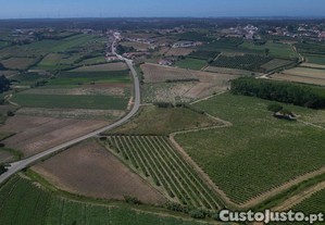 imagem_6