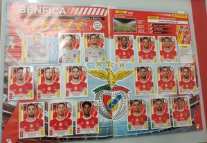 imagem_3