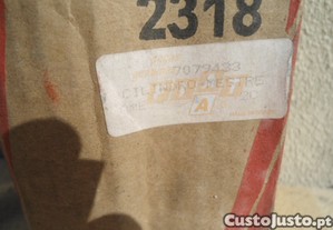 imagem_8