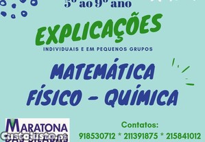 imagem_3