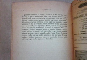 imagem_7