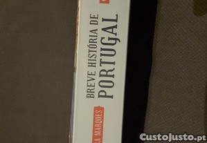 imagem_5