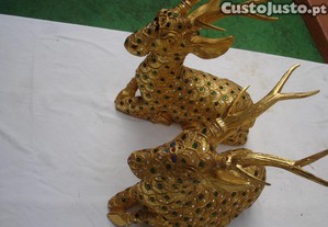 imagem_8