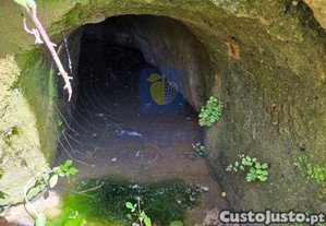imagem_22