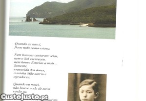 imagem_8