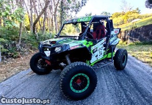 Polaris RZR 2013 - 13