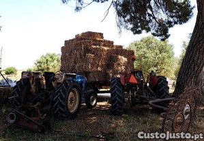 Fardos feno aveia e outros nascidiços