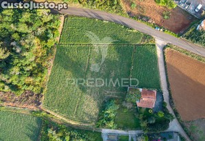 Terreno com 1510m2 em são jorge - ilha da madeira