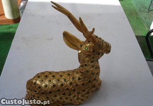 imagem_7