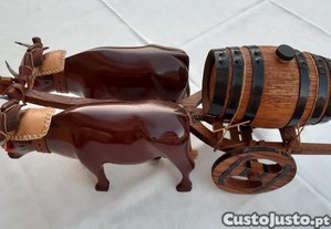 imagem_8