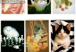 Coleo completa de 12 calendrios sobre Gatos 1992