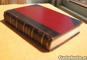 imagem_7