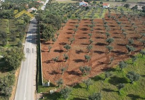 Terreno Rústico Em Freixial E Juncal Do Campo,Castelo Branco