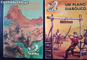imagem_3