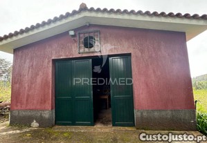 imagem_19