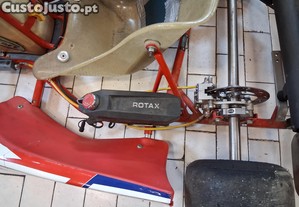 Topkart rotax mini max evo1 kart