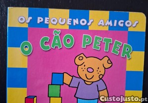 imagem_6