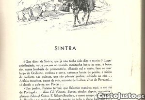 imagem_7