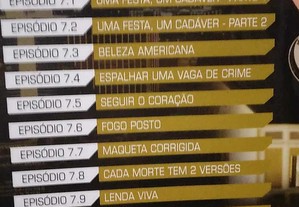 imagem_8