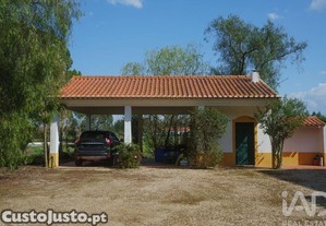 imagem_7