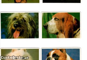 Coleo completa de 12 calendrios sobre Ces 1992