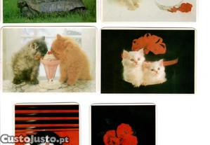 imagem_3