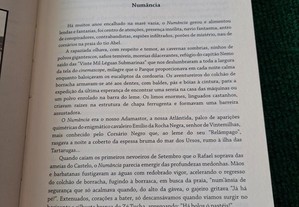 imagem_7