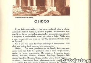 imagem_8