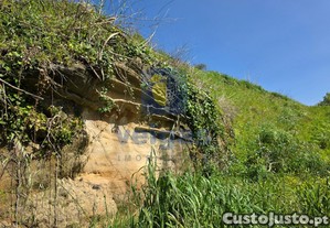 imagem_23