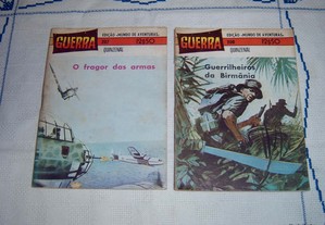imagem_2