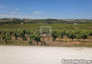 Herdade +140Ha Com Vinha De 30Ha Em - vora -...