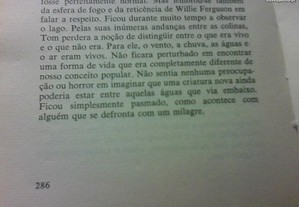 imagem_8