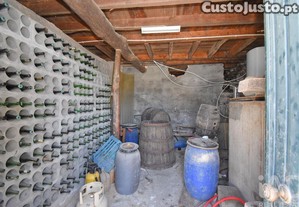 imagem_30