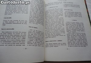 imagem_7