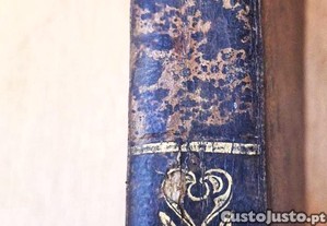 imagem_3