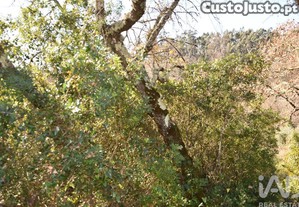 imagem_28