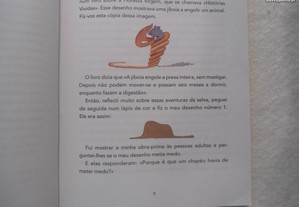 imagem_4